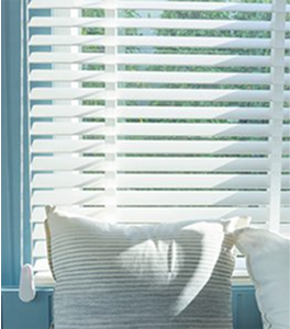 Exective Blinds